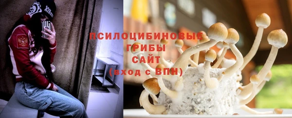 твердый Нея
