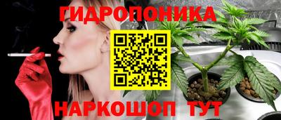 PSILOCYBIN Дубна
