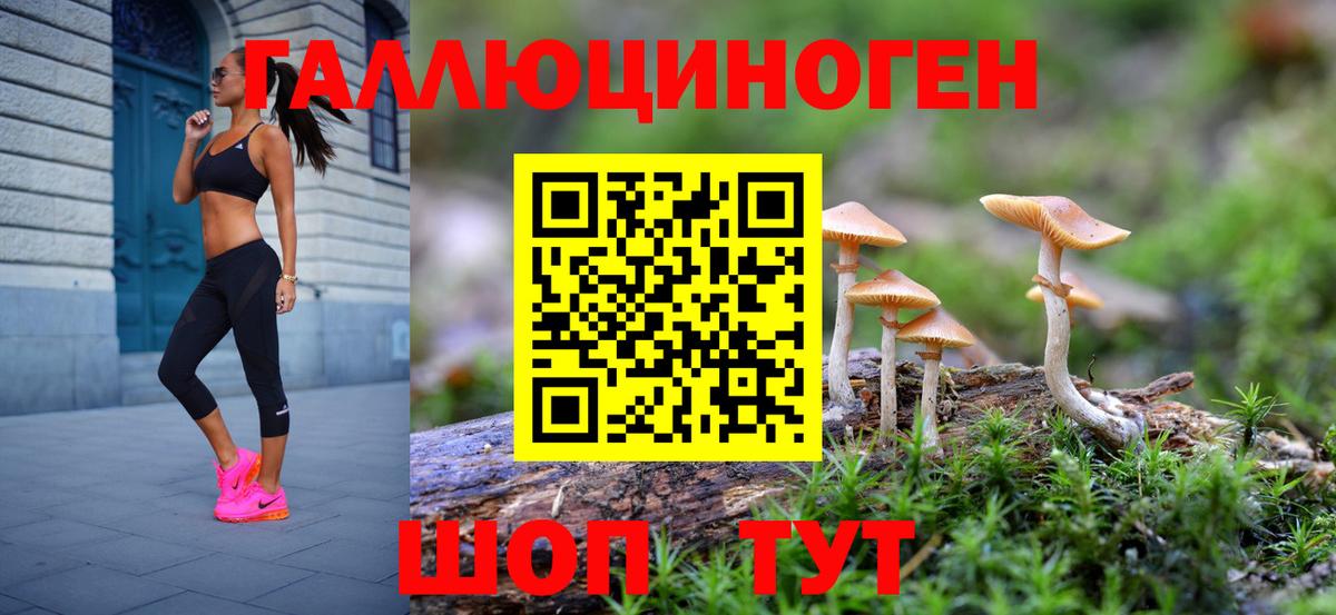 Галлюциногенные грибы прущие грибы Кашира