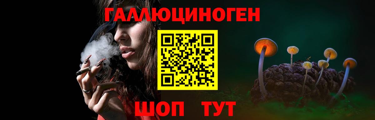 Галлюциногенные грибы ЛСД  Вход с VPN  Кашира  Галлюциногенные грибы MAGIC MUSHROOMS 